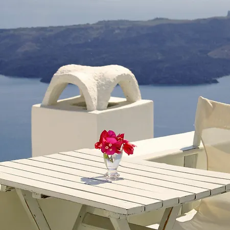 Blue Dolphins Hotell